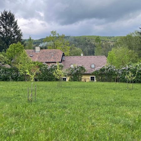 Bed&Breakfast Im Gruenen Nah An Wien Brettwies Exteriör bild