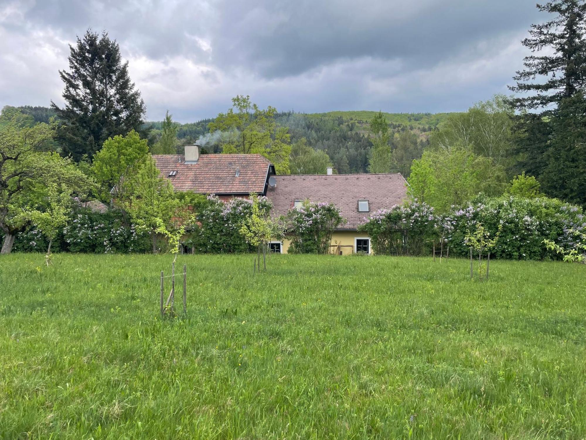 Bed&Breakfast Im Gruenen Nah An Wien Brettwies Exteriör bild